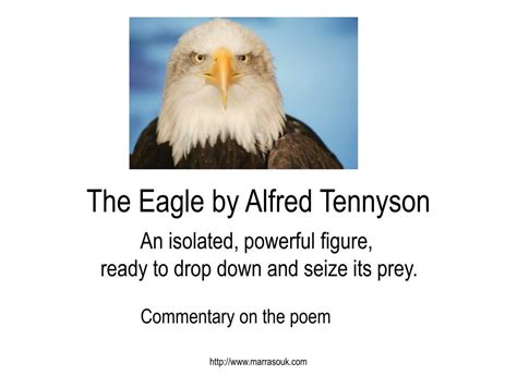 PPT - The Eagle by Alfred Tennyson PowerPoint Presentation, free download - ID:1040058