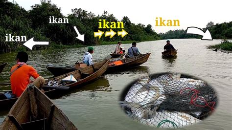 Mancing Ikan Pepah Sanggang Umpan Getuk Sampai Kehabisan YouTube