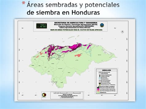 Mapa De Cultivo Palma Africana En Honduras Sag Download Scientific Diagram