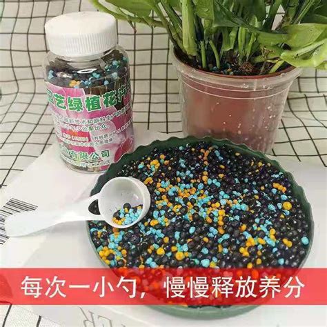 花卉绿植通用控释肥长效温和颗粒缓释肥绿萝蔬菜种植营养万能肥料 阿里巴巴