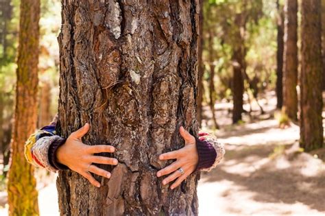 Premium Photo Woman Hugging Tree Trunk In Forest