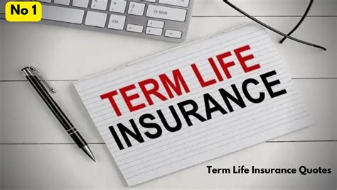 Best Guide To Term Life Insurance Quotes In 2024