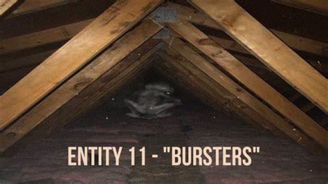 Entities Of The Backrooms Entity Bursters Youtube