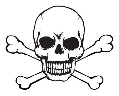 Skull Crossbones Vector