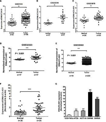 Frontiers Lncrna Dnajc As Regulates Fatty Acid Synthase Via The