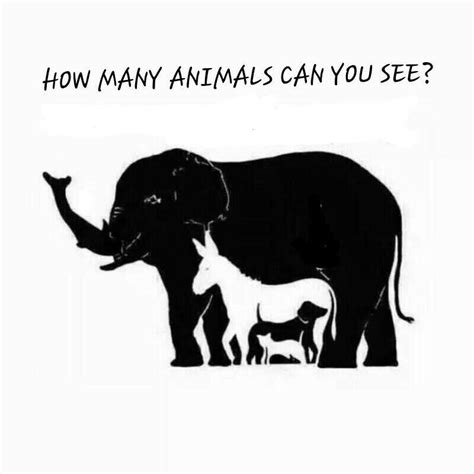 How many animal | Objetos encontrados, Animales, Cuadros de buda