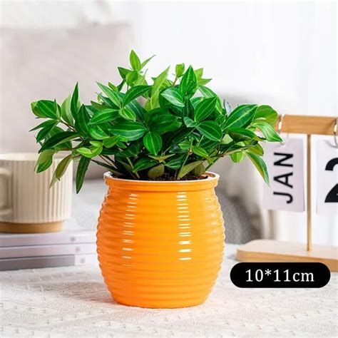 Succulent Hydroponic Plants Pot Self Watering Flowerpot Indoor Mini