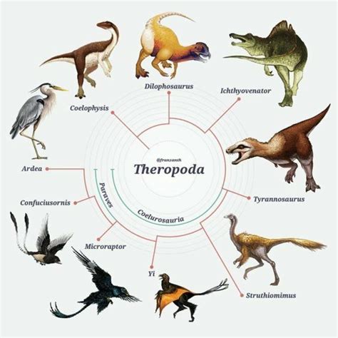 Theropods Science Amino