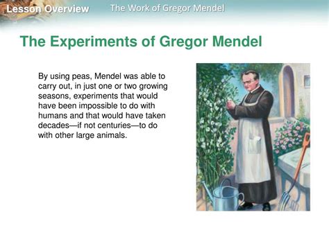 PPT - The Experiments of Gregor Mendel PowerPoint Presentation, free ...