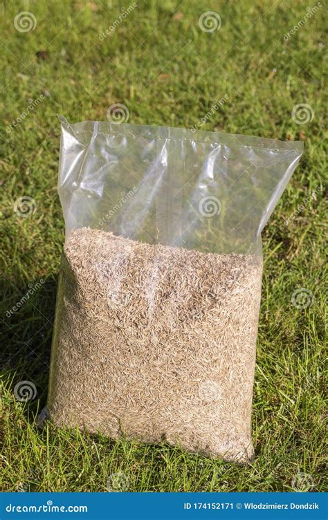 Foil Packaging With Grass Seeds Sowing Grass Setting Up A Lawn Stock Image Image Of