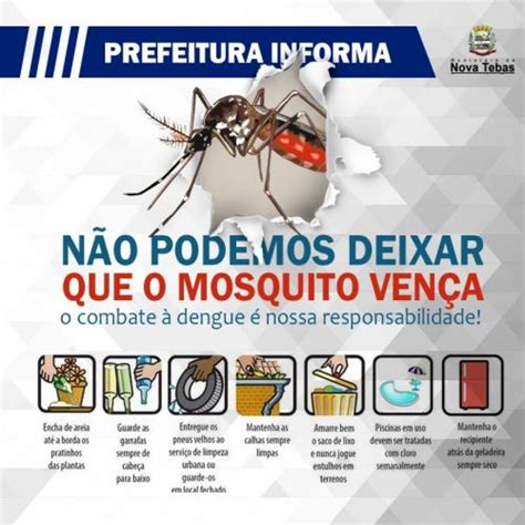 Top Pictures Foto Do Mosquito Da Dengue Latest