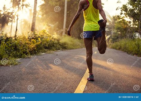 Fitness Woman Runner Stretching Legs Stock Photo Image Of Forest