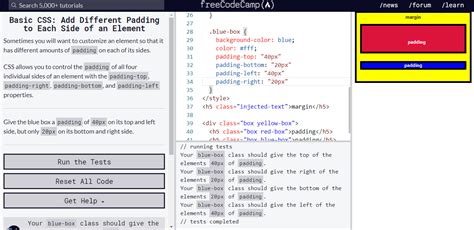 Https Freecodecamp Org Learn Responsive Web Design Basic Css Add