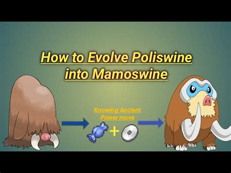 Piloswine Evolution