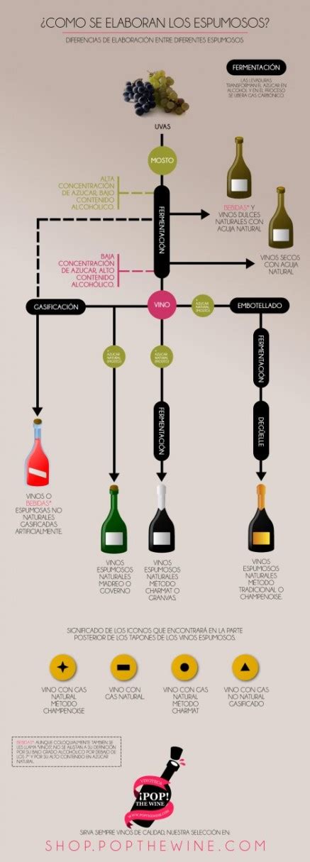 12 infografías sobre la elaboración del vino vinopack