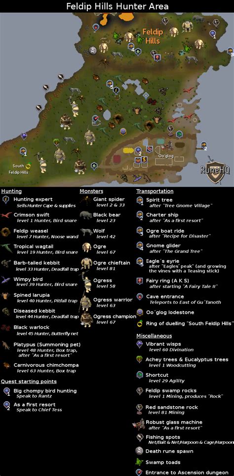 Feldip Hills Hunter Area Map - RuneScape Guide - RuneHQ