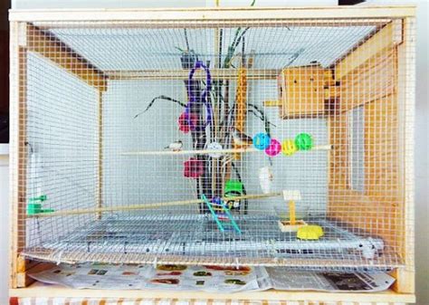 Homemade Bird Cage Ideas Bright Stuffs