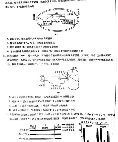 重庆市巴蜀中学校2022 2023学年高三上学期适应性月考卷（二）生物试题及答案 教习网试卷下载