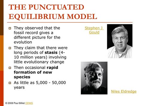 PPT - PUNCTUATED EQUILIBRIUM PowerPoint Presentation, free download ...