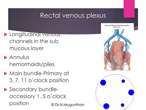 Rectum Anal Canal By Prof Dr N Mugunthan PDF