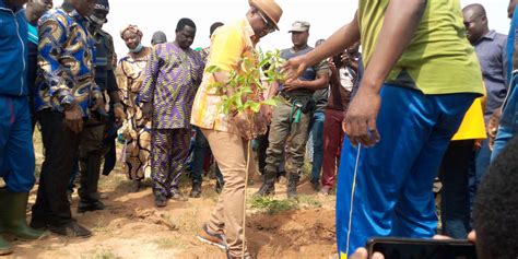 Campagne de reboisement 1200 plants mis sous terre Afrik Tilgré