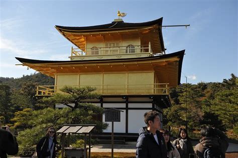 Kinkakuji Temple, Kyoto - Tripadvisor