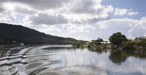 Tweed Heads Tweed River And Rainforest Cruise With Lunch Getyourguide