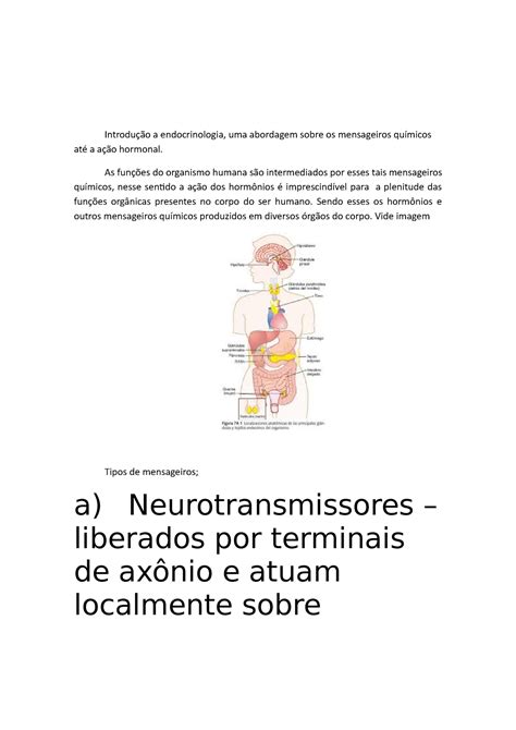 Introdu O A Endocrinologia As Fun Es Do Organismo Humana S O