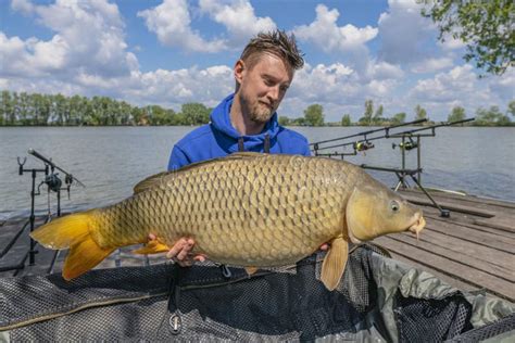 Big Carp Fishing. Fisherman with Huge Fish Trophy in Hands at Lake Stock Photo - Image of ...