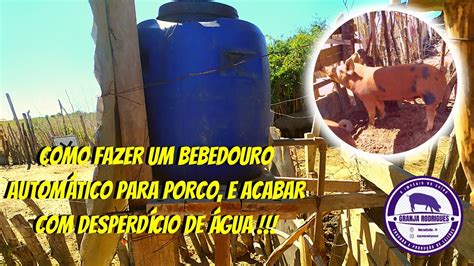 COMO FAZER BEBEDOURO PARA PORCO BEBEDOURO CASEIRO AUTOMÁTICO PARA