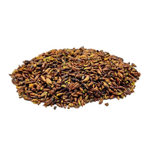 Купити Березові бруньки (Betula) сушені - 50гр, ББ-01С — ДикоросUA