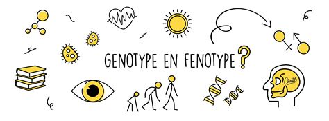 Het Genotype En Het Fenotype Mr Chadd Academy