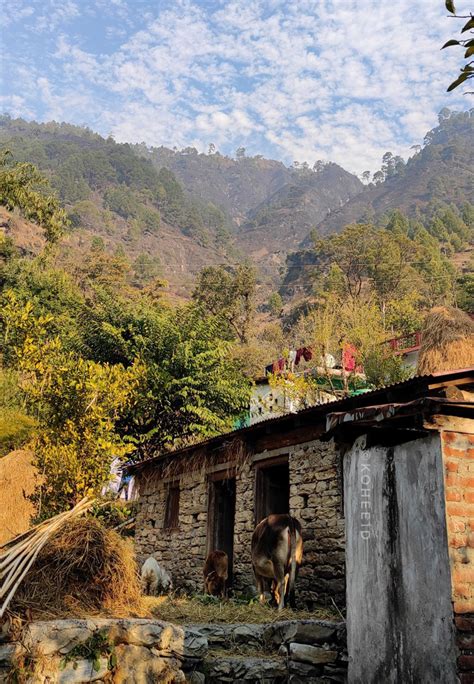 Dulam Village In Kapkot Block Bageshwar Uttarakhand Population