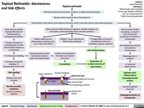 topical-retinoids-mechanisms-and-side-effects | Calgary Guide