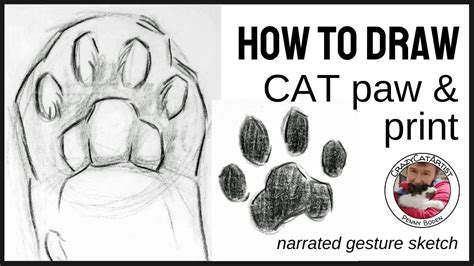 Cat Paw With Claws Drawing