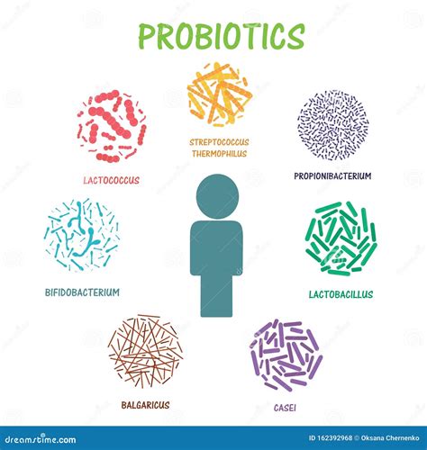 Set Of Probiotic Bacteria Stock Vector Illustration Of Good 162392968