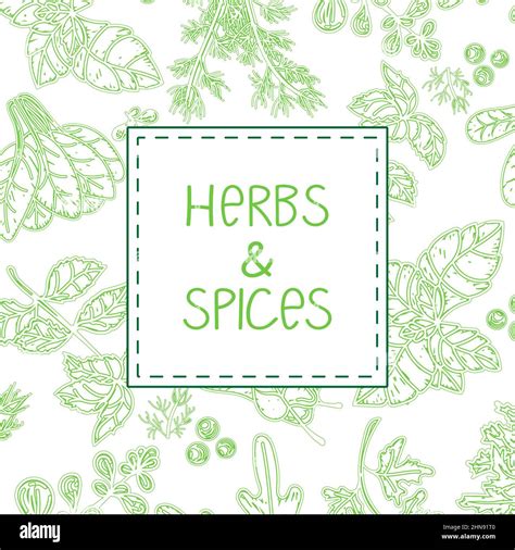 Herbs And Spices Hand Drawn Vector Illustrations Hand Drawn Food