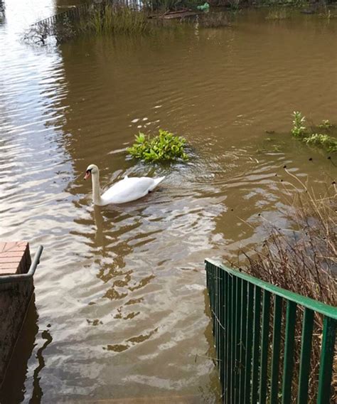 The Park Friends Of Rowntree Park