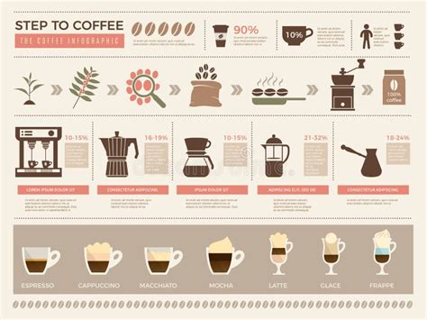 Caff Infographic Fasi Di Processi Del Modello Di Vettore Delle Tazze