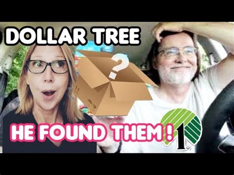 Dollar Tree Finds Our Wishlist Dollar Tree Haul Grab Before They