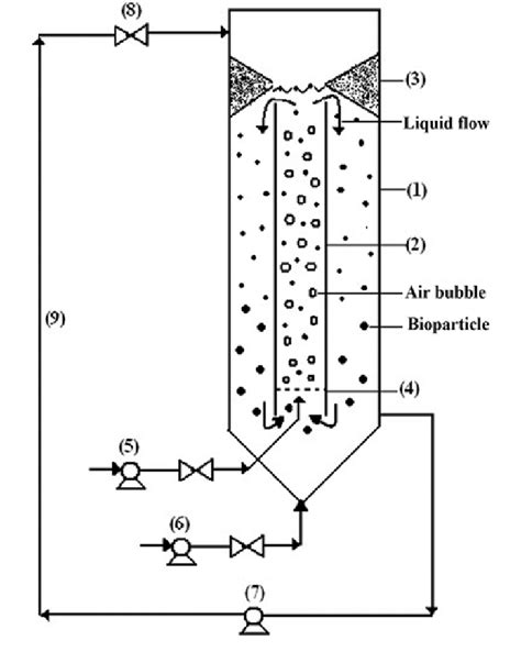 Schematic Representation Of Inverse Fluidized Bed Biofilm Reactor Set Download Scientific