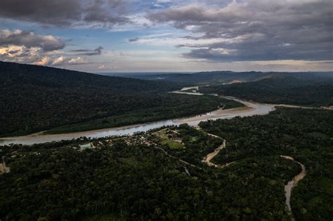 Wanamei El Proyecto De Conservaci N En La Amazon A Que Tras A Os