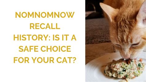 NomNomNow Recall History: Is It a Safe Choice for Your Cat?