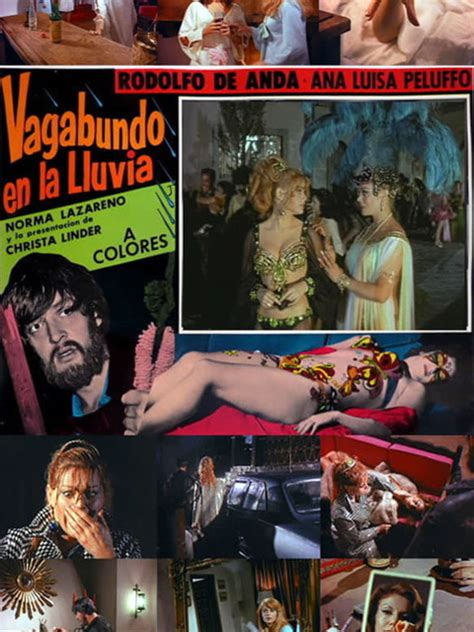 Vagabundo en la lluvia un film de 1968 Télérama Vodkaster