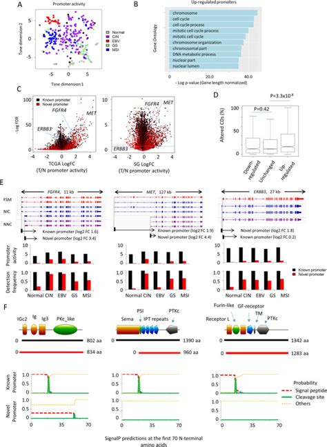 Long Read Transcriptome Sequencing Reveals Abundant Promoter Diversity