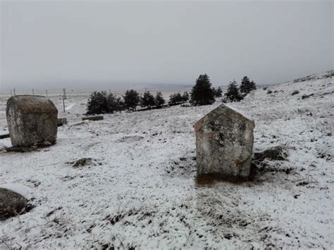 Povodom 830 Godina Od Povelje Bana Kulina Od Bosne Bosanski Pogledi