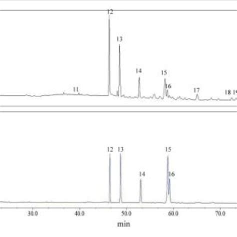 Figure A1 Hplc Chromatograms Of A Representative Sample Solution