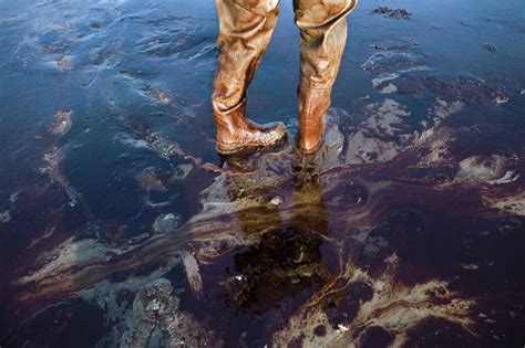 Bp Gulf Oil Spill The Slow Motion Public Health Disaster Continues