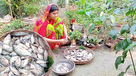 সর্ষে বাটা দিয়ে তেলাপিয়া মাছের ঝাল সরিষা তেলাপিয়া মাছ রেসিপি