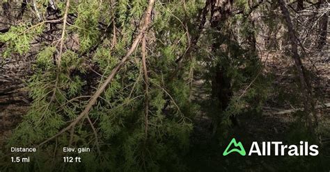 armadillo trail texas  reviews map alltrails